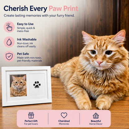 Pawcessories™ Forever Paws Print Kit